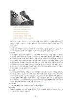 [미디어] 중앙일보 경영전략과 경영방식-5