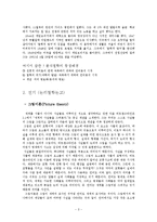 비트겐슈타인 레포트-3