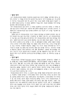 비트겐슈타인 레포트-5