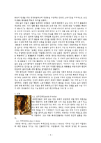 [인간과 건강] 영화 `아일랜드(The Island)` 간호심리-5
