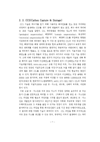[졸업논문][환경경제학] 지하 대염수층에의 CO2 주입시 최적주입량 및 유동 분석-10