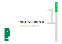[커뮤니케이션학] 케이블 TV 산업의 수익구조-3