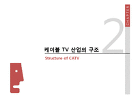 [커뮤니케이션학] 케이블 TV 산업의 수익구조-6