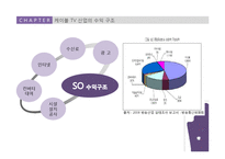 [커뮤니케이션학] 케이블 TV 산업의 수익구조-11