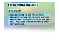 [정책집행론] 다조직구조하의 국가 GIS사례-9