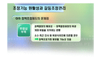 [정책집행론] 다조직구조하의 국가 GIS사례-12