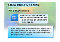 [정책집행론] 다조직구조하의 국가 GIS사례-13