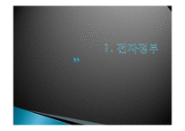 [정부학] 전자정부와 전자민주주의-2