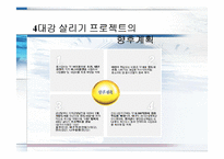 [행정학] 4대강 살리기 사업-6