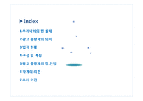 [광고총량제] 광고 총량제의 방향-2