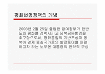 [북한학] 노무현 정부의 대북 정책-3