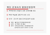 [북한학] 노무현 정부의 대북 정책-14