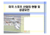 미국 스포츠 산업의 현황 및 성공요인-1