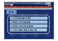 미국 스포츠 산업의 현황 및 성공요인-2