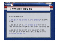 미국 스포츠 산업의 현황 및 성공요인-4