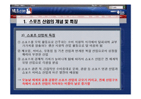 미국 스포츠 산업의 현황 및 성공요인-5
