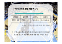 미국 스포츠 산업의 현황 및 성공요인-10