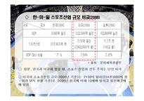미국 스포츠 산업의 현황 및 성공요인-11