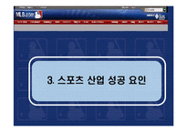 미국 스포츠 산업의 현황 및 성공요인-12