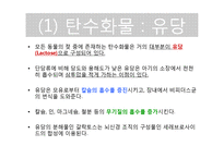 [생애주기] 모유영양과 모유 대체식-11