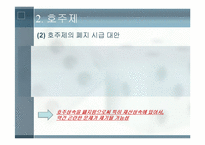 [정책형성론] 여성정책에 대한 찬반 토론-13