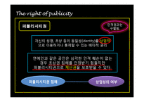 초상권 레포트-19