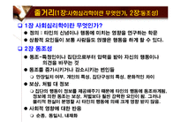 사회심리학 -사회적 동물-4