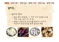 [음식문화역사] 김치 역사-3