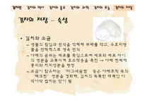 [음식문화역사] 김치 역사-19