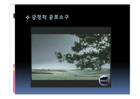 [커뮤니케이션] 공포 소구 및 광고-16