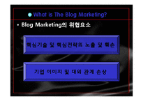 블로그 마케팅 레포트-13