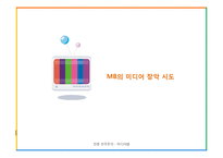 언론 민주주의 -미디어법-17