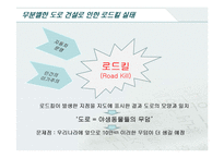 [윤리] 로드킬(Road Kill)-2