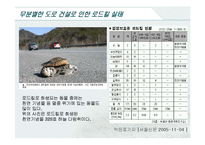 [윤리] 로드킬(Road Kill)-9