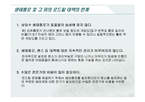 [윤리] 로드킬(Road Kill)-11