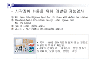 [시각장애] 시각손상아동의 평가-15