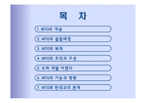 국제기구 -경제기구 WTO-2