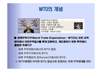 국제기구 -경제기구 WTO-3