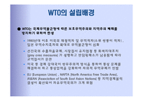 국제기구 -경제기구 WTO-4