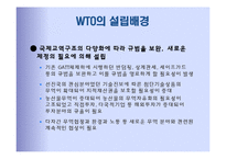 국제기구 -경제기구 WTO-5