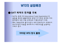 국제기구 -경제기구 WTO-6