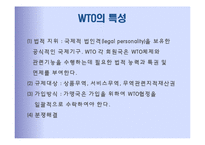 국제기구 -경제기구 WTO-7