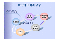 국제기구 -경제기구 WTO-10