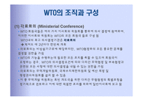 국제기구 -경제기구 WTO-11