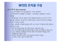 국제기구 -경제기구 WTO-14