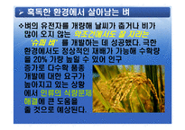 [과학사] 유전학이 현대 사회에서 막강한 권력을 갖는 이유-19