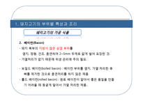 [조리원리] 단백질과 조리-10