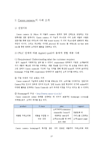 총체적 경험제공 사례(애플 아이팟, 캐논 카메라)-10
