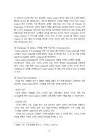 총체적 경험제공 사례(애플 아이팟, 캐논 카메라)-12