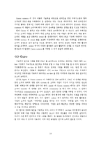 총체적 경험제공 사례(애플 아이팟, 캐논 카메라)-14